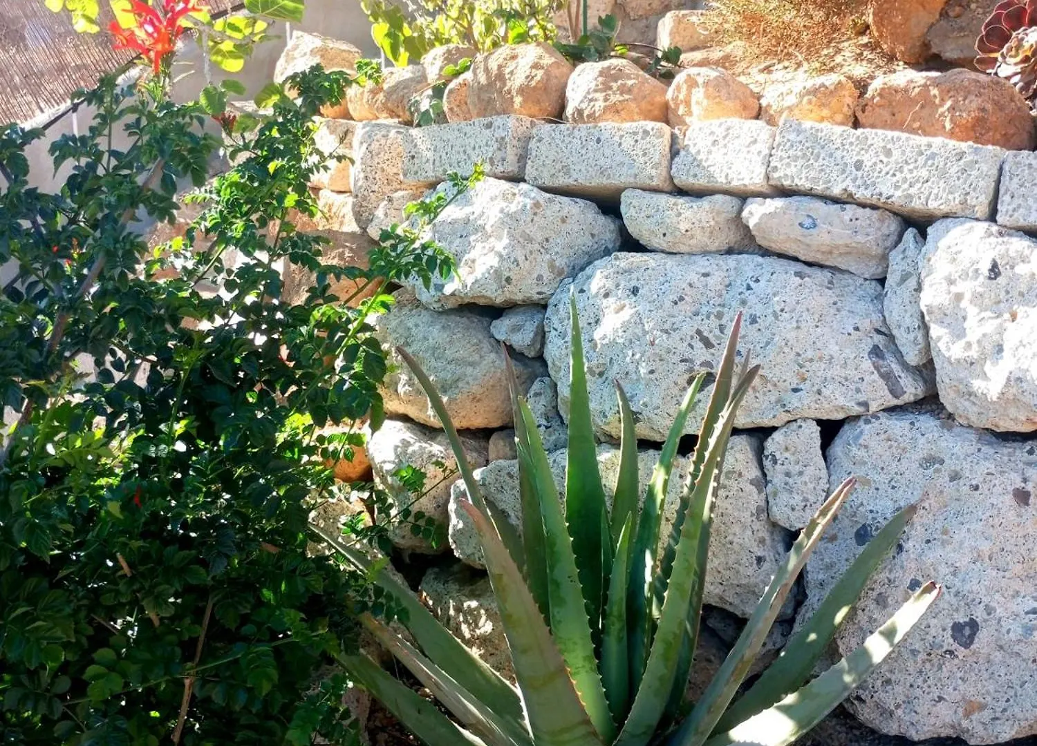 Pensionat Eco-Finca Azuay - Cave Refuge Santa Cruz de Tenerife